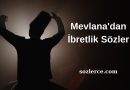 Mevlana’dan İbretlik Sözler
